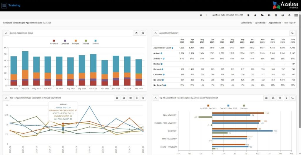 The dashboard in Azalea Healthcare Analytics showing new patients with no-shows, cancelled, bumped, booked, arrived, and more. 