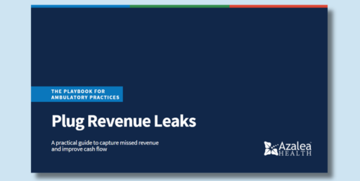 Cover of Plug Revenue Leaks Playbook